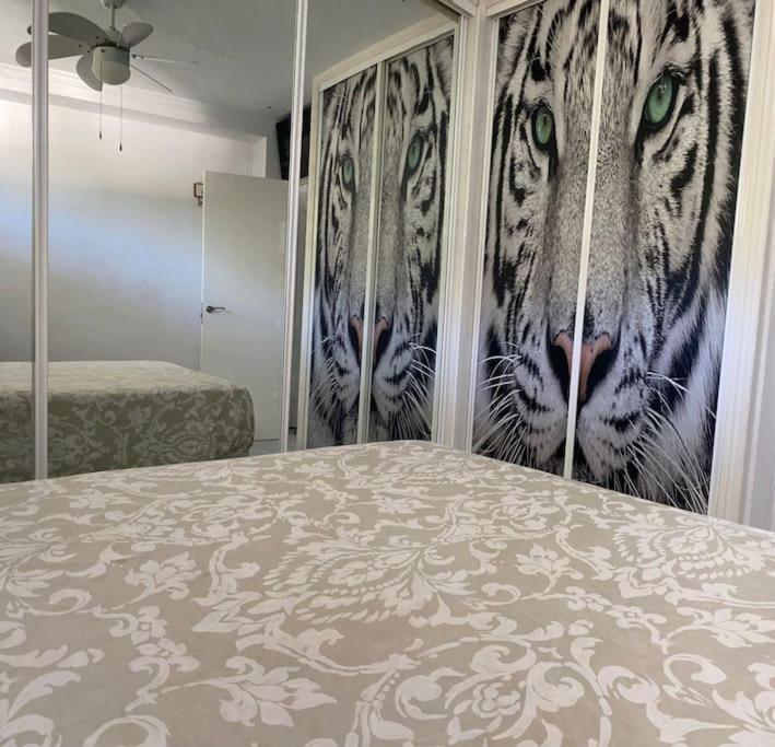 شقة Apartamento Linda توريمولينوس المظهر الخارجي الصورة