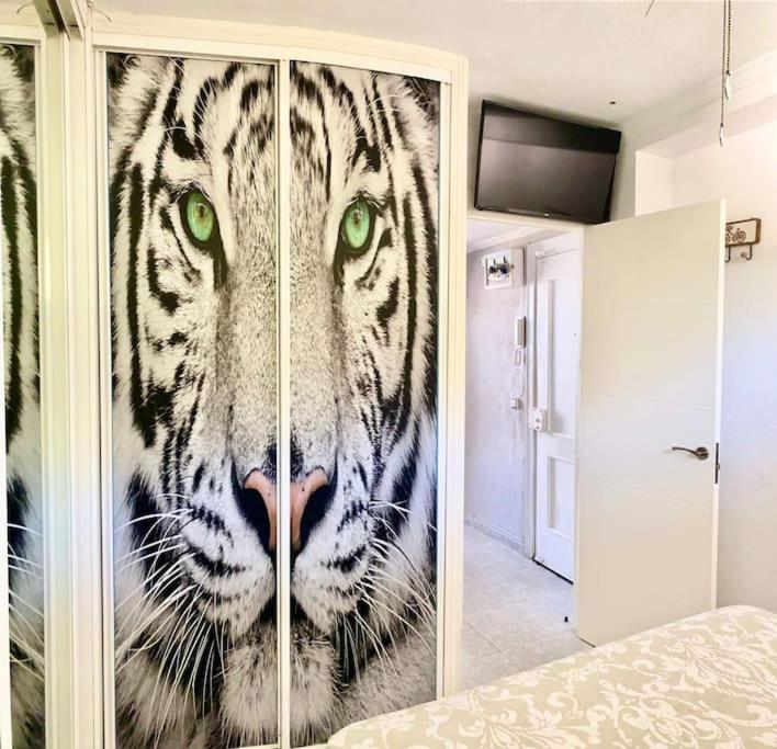شقة Apartamento Linda توريمولينوس المظهر الخارجي الصورة